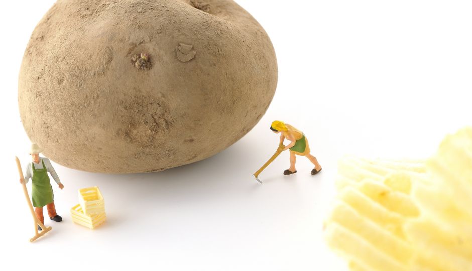 20年間変わらなかった！？日本の食料自給率「自給率30％台時代へ！」