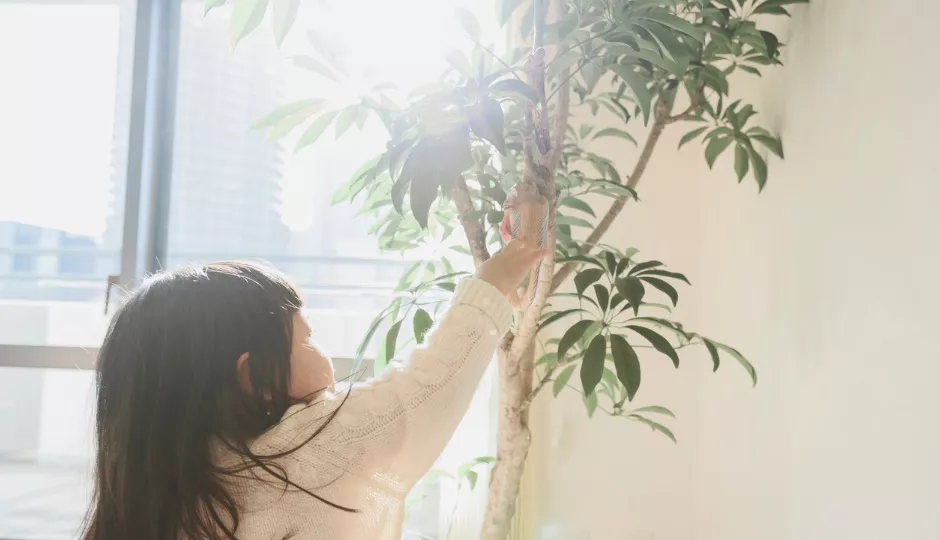 愛の対義語は憎しみではなく無関心 無視される方が直接悪口を言われるよりも影響が大きいという研究結果 データのじかん