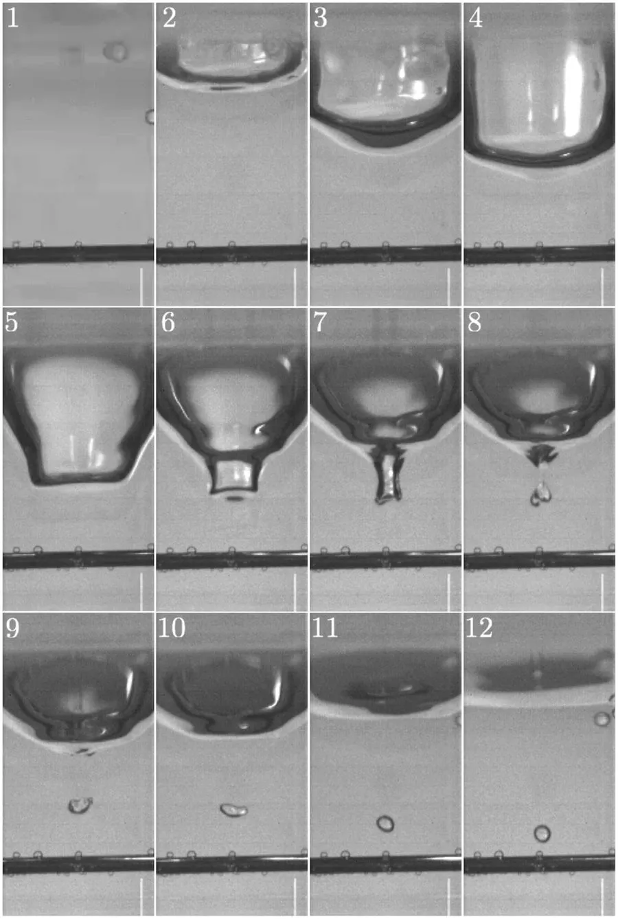 水滴が水に落ちる時の ぴちょん 音の原因がついに明らかに データで越境者に寄り添うメディア データのじかん