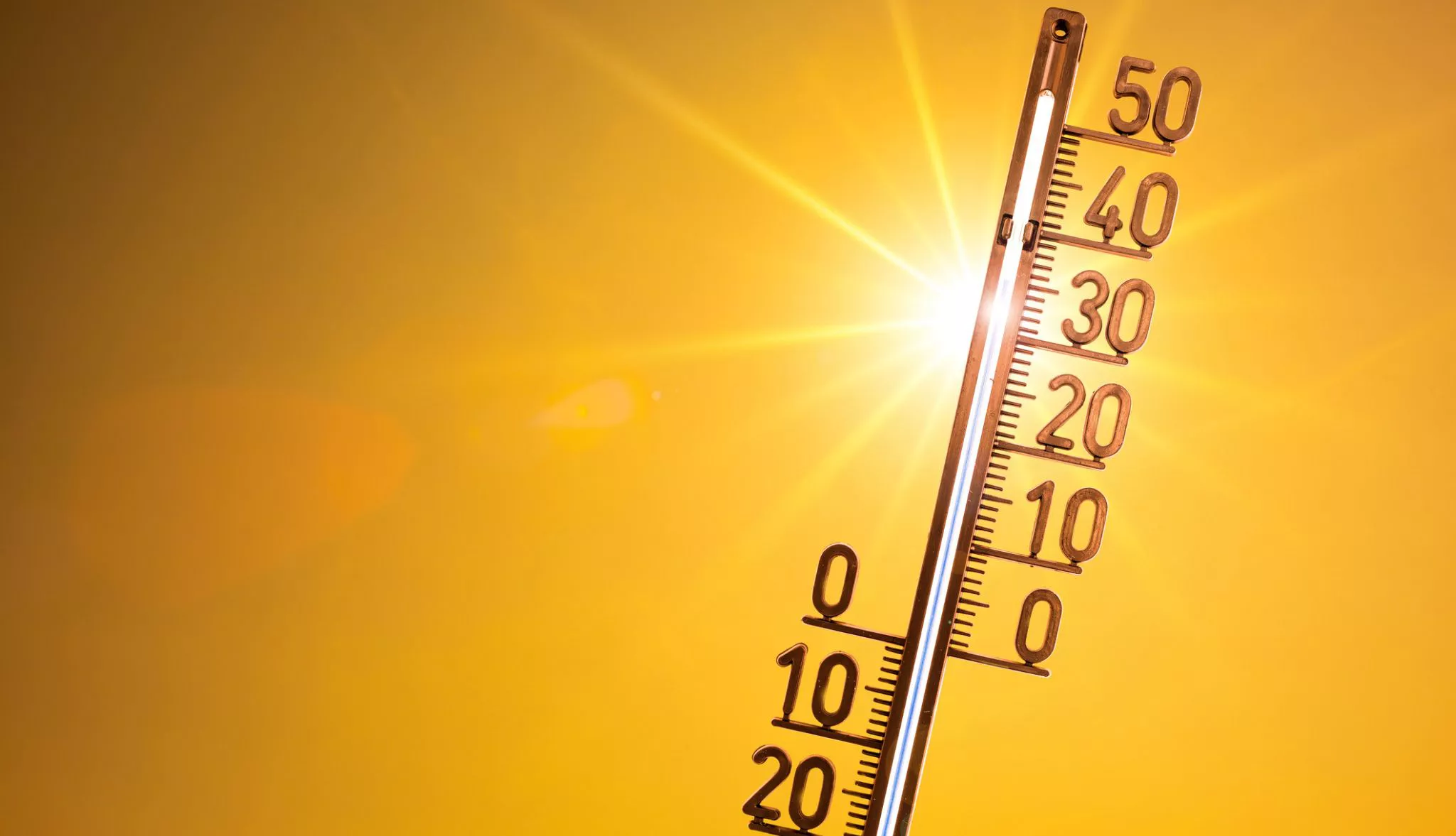 平熱が高いほど死亡リスクが上がる 最新の研究が明らかにした体温と健康の意外な関係とは データのじかん